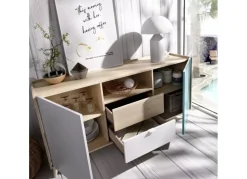 Aparador 2 puertas y 2 cajones OVAN