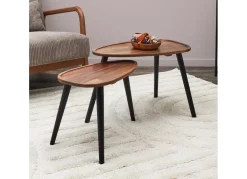 Juego de 2 mesas de centro ARLEY