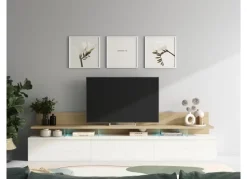 Mueble para salón VIBRA