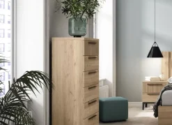 Sinfonier 6 cajones con guías florida NEW