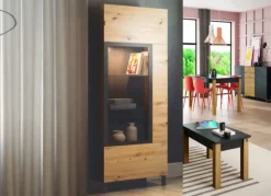 Vitrina cristal future II