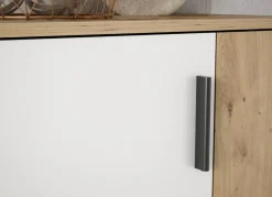 Zapatero 2 puertas batientes y 5 baldas SINTRA